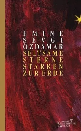 Buchcover von „Seltsame Sterne starren zur Erde“