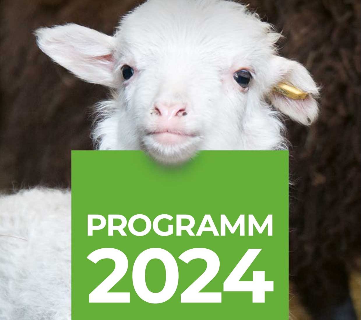 Das Titelbild des Programmflyers zeigt ein weißes Lamm